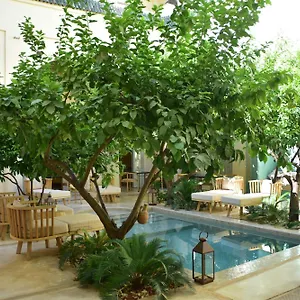 Emberiza Sahari Guest house